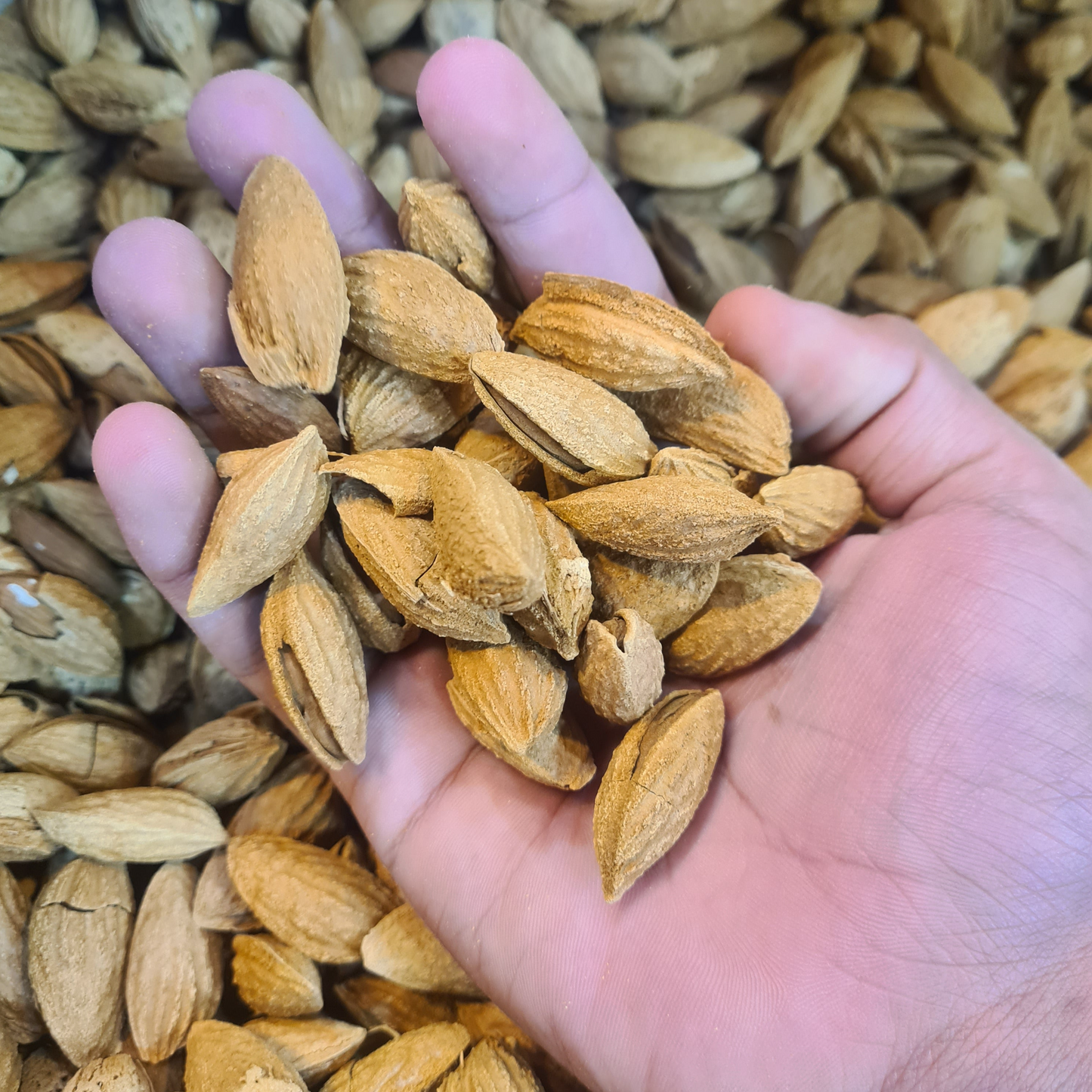 Premium Quality Australian Almonds (Badam)