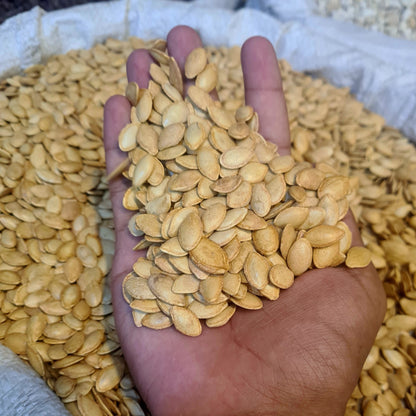 Premium Quality China White Raw Seeds (Beej)