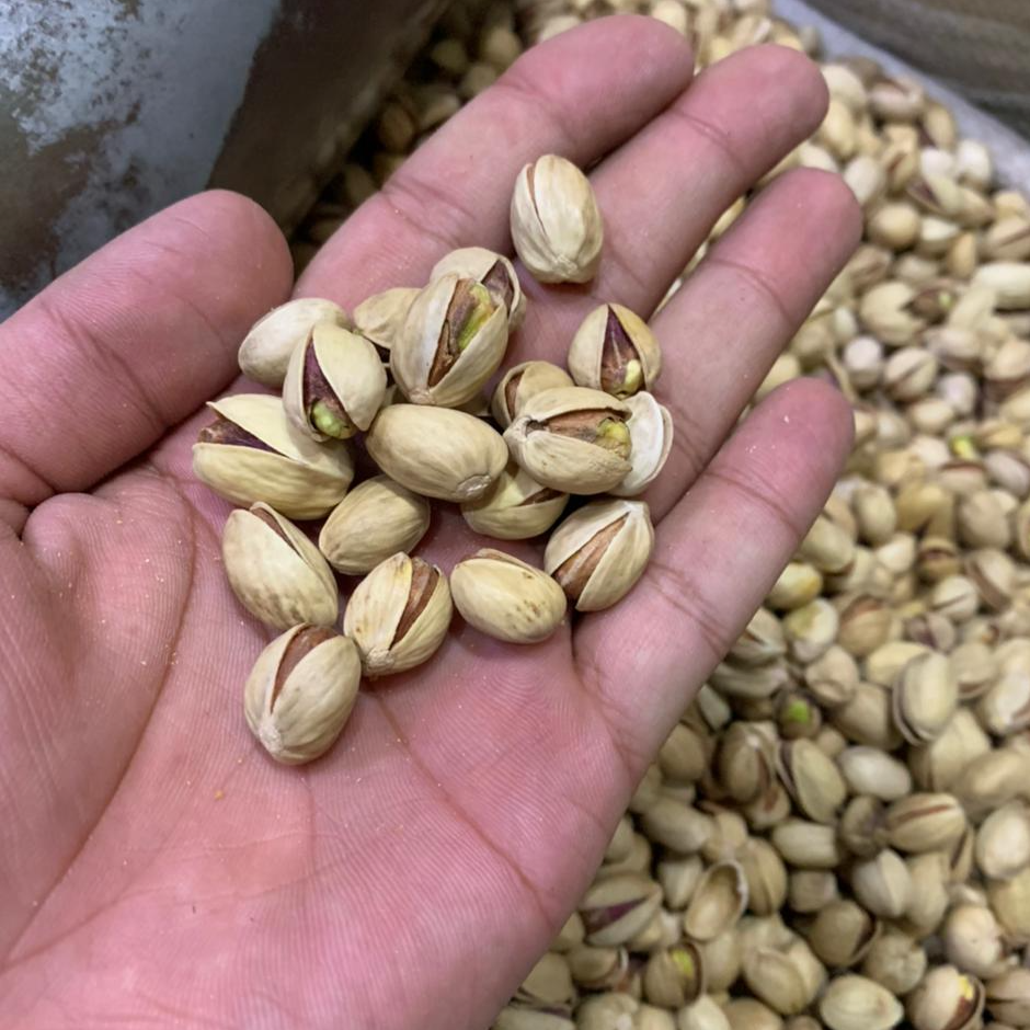 Premuim Quality Pistachios (Gol Pista)