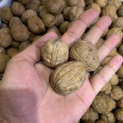 Premium Quality American Walnuts (Kaghazi Akhrot)