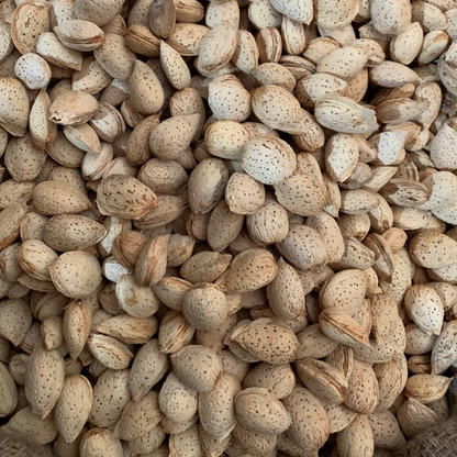 Premium Quality Loralai Papri Kagzi Almonds (Badam)