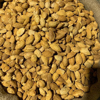 Premium Quality Adoo Almonds (Badam)