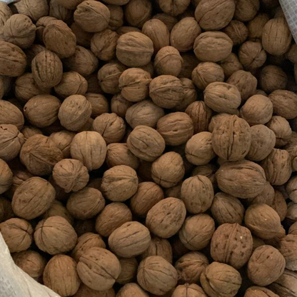 Premium Quality American Walnuts (Kaghazi Akhrot)