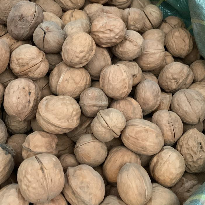 Premium Quality China Walnuts (Akhrot)