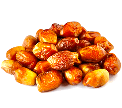 Premium Quality Dry Iranian Dates (Khajoor)